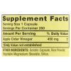 Spring Valley Apple Cider Vinegar Dietary Supplement Value Size, 450 mg, 250 count